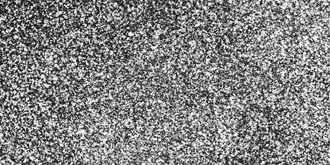 Black and White Glitter Texture with Sparkling Particles, Shiny Abstract Surface, and Festive Decorative Background Banner