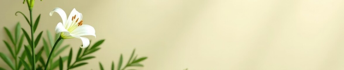 Fototapeta premium Dainty lily stems with green leaves against pale beige walls, nature-inspired, plant details, greenery