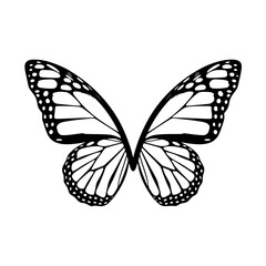 Fototapeta premium Black and White Butterfly Silhouette Illustration, A detailed black and white butterfly silhouette with symmetrical wings, designed in a minimalist and artistic style on a light background. 