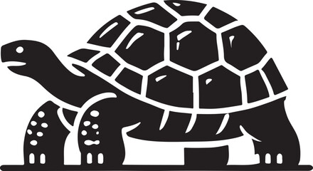 A tortoise icon silhouette vector with white background