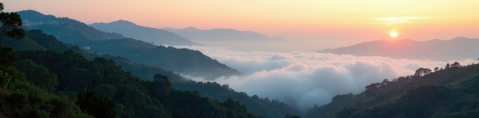 Fototapeta premium Morning fog rolls in across the Hollywood Hills, hillside, hollywood