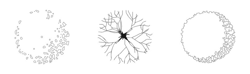 Trees, top view on a white background © Tatiana Bauman 