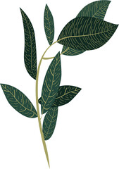 Leafy Branch with Detailed Green Leaves