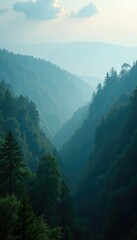 Fototapeta premium Misty forest landscape with a few low-hanging clouds, natural, mysterious