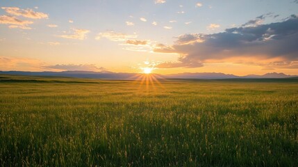 Golden Sunset Over Grasslands