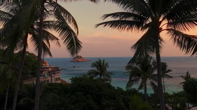 Tropical palm trees by sunset. Island beach, lush vegetation, clear turquoise water. Koh Tao, Thailand.