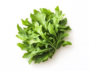 Fresh green arugula leaves are arranged in a bunch
