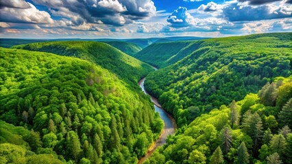 Obraz premium Panoramic view of Pine Creek Gorge in Pennsylvania with lush greenery and towering trees, pine, freshair, pine