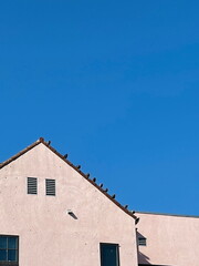 old house with birds on roof