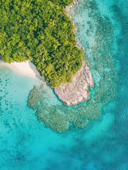 Aerial view of tropical island with lush forest and turquoise waters