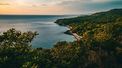 Obraz premium Sunset Over Lush Coastal Forest And Ocean