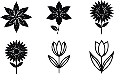 Fototapeta premium set of floral elements