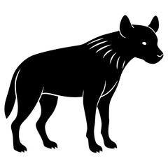 wolf vector illustration