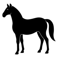 silhouette of a horse