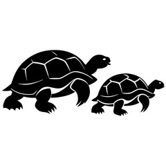 turtle vector illustration