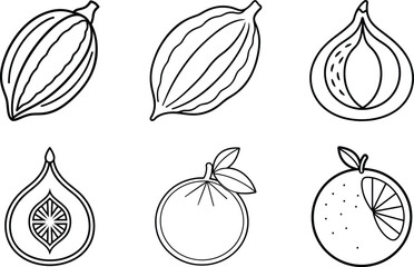 set of vector fruits