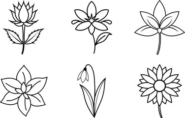 set of floral elements