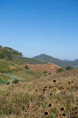 landscape with mountains