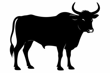 cow head black silhouette isolated on a white background. Set of cow / bull head silhouette logo design