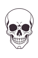 human skull black and white sketch 