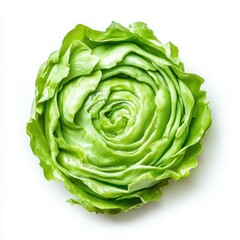 Fototapeta premium Green butter lettuce top view on white background