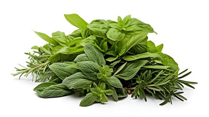 Assorted Fresh Organic Herbal Leaves including Basil Rosemary and Thyme on Clean White Background  Culinary Cooking and Healthy Lifestyle Concept