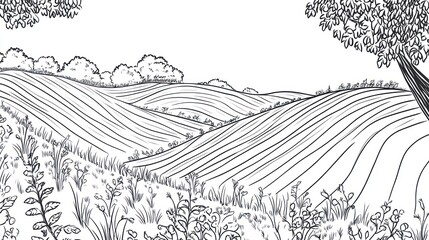 Rolling hills farmland landscape, sunlit fields, nature background, agriculture illustration