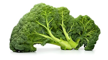 Closeup of a single fresh and vibrant green broccoli floret standing alone against a pristine white background showcasing the intricate textures and natural beauty of this healthy vegetable