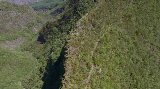 France - Reunion Island - Mafate - Scout Path, above 2 fesses Area backward