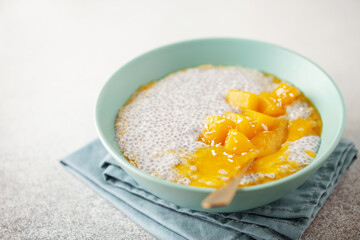 Chia seed pudding from coconut milk with mango puree and cubes  in bowl. Vegan  food. Clean eating concept