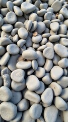 Seamless Texture: A pile of smooth, rounded, light gray beach stones