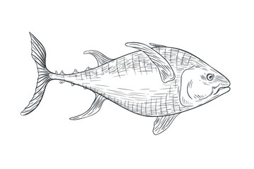 Single tuna fish black white vector illustration. Sea fish monochrome sketch hand drawn. Yellowfin tuna engraving ink art. Kingfish graphic drawing . Design element for package, label, sign board.