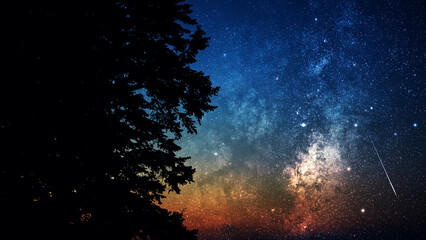 Milky Way stars with meteor shower trails and scountryside tree