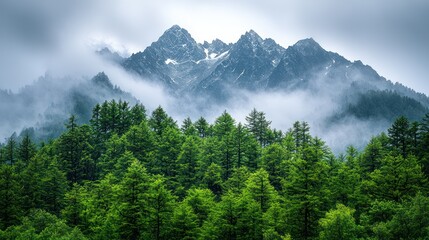 Fototapeta premium Misty mountain range, lush forest, scenic view, travel poster