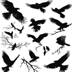 Obraz premium Silhouettes of various birds in flight against a light background ,Group of bird flying together silhouette vector