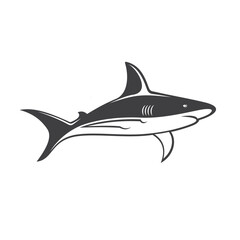 Obraz premium illustration of shark, ferocious sea fish, vector art.