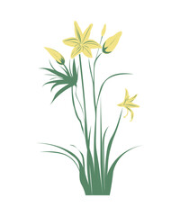 bouquet of yellow flowers