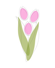 Tulip bouquet, stylized illustration of pink tulips for holiday design, wedding, valentines day, mothers day.