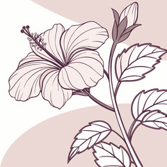 Botanical pink or red hibiscus flower vector design