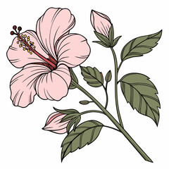 vector illustration of flowers