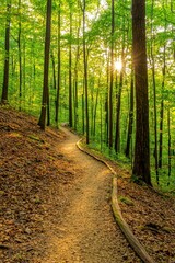 A serene forest pathway lined with lush green trees, illuminated by soft sunlight filtering through...