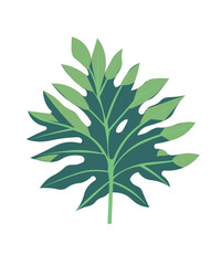 green leaf isolated on white background