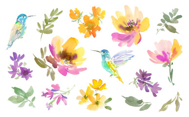 Vector clipart set of hummingbird painted in watercolor with spring flowers and wildflowers. Hand-drawn bird with peonies and floral illustration collection.