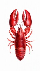 A vibrant red lobster showcasing its unique claws and intricate details.