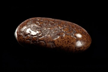 Naklejka premium Chocolate covered easter egg with dark specks on black background
