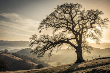 Fototapeta premium Majestic tree silhouette against golden sunrise in serene landscape