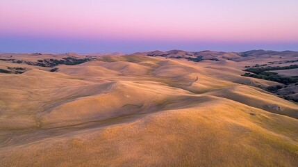 Fototapeta premium Vast desert landscape at dusk, gentle rolling dunes bathed in purple and orange hues, tranquil and expansive view, ideal for exploration.