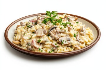 Delicious mushroom risotto dish garnished with parsley on brown plate