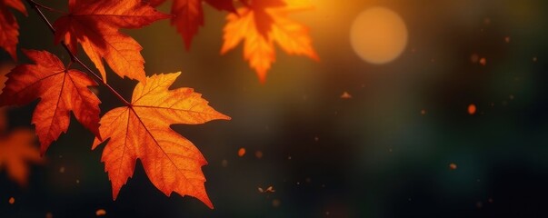 Crisp orange autumn leaves, glowing golden highlights against deep black , glow, artistic, vibrant