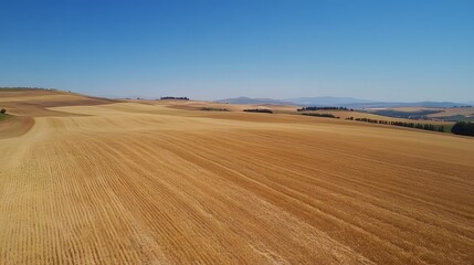 Fototapeta premium Wide open landscape, vast desert terrain under a clear blue sky, highlighting natural beauty and tranquility, ideal for reflection.